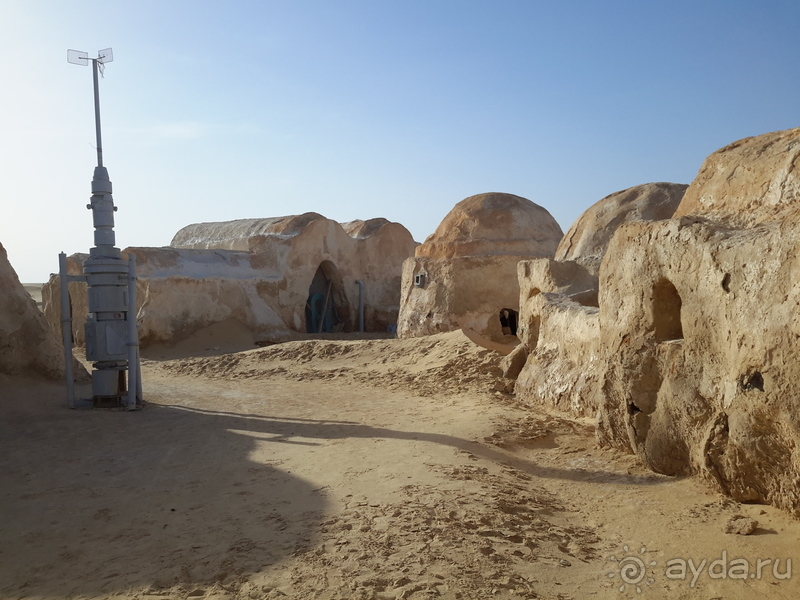 Тунис-жемчужина средиземноморья