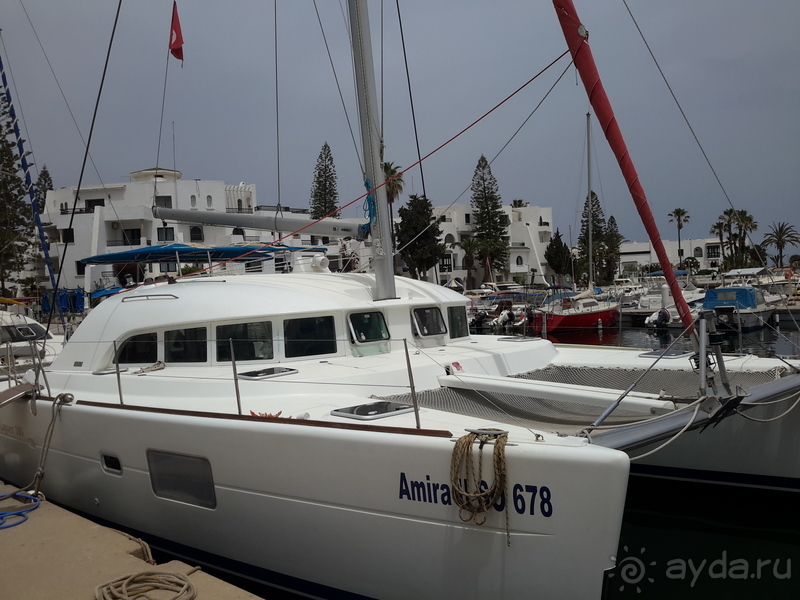 Тунис-жемчужина средиземноморья