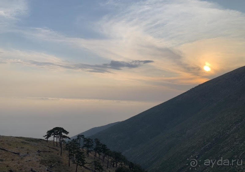 фото Тираны