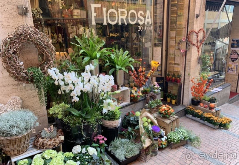 Незабываемая поездка в город Лугано. 