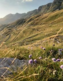 Красавица Черногория моими глазами! 