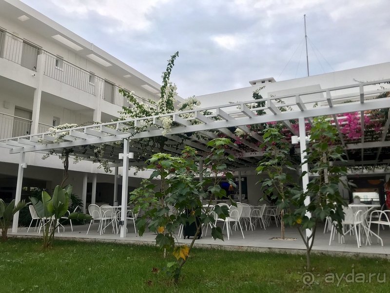 Хорошая тройка! Хорошая тройка!