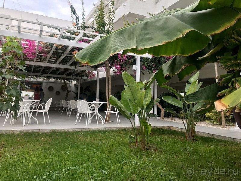 Хорошая тройка! Хорошая тройка!