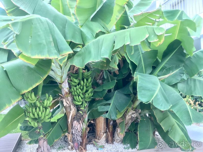 Хорошая тройка! Хорошая тройка!