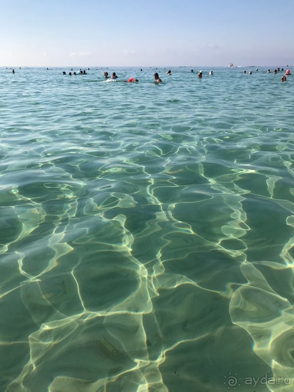 Все отлично!