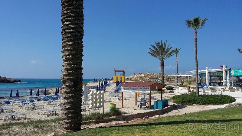 Опять были восхищены Опять были восхищены