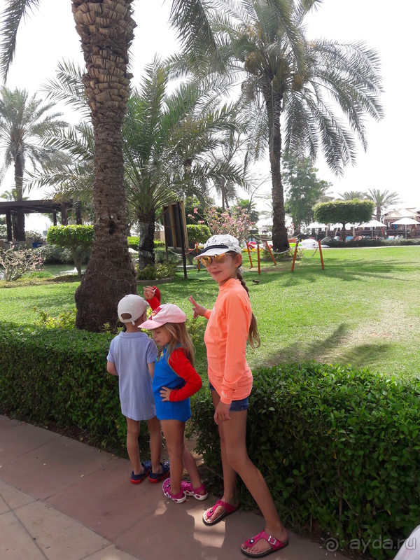  Le Meridien Al Aqah Beach Resort 5* Майские каникулы