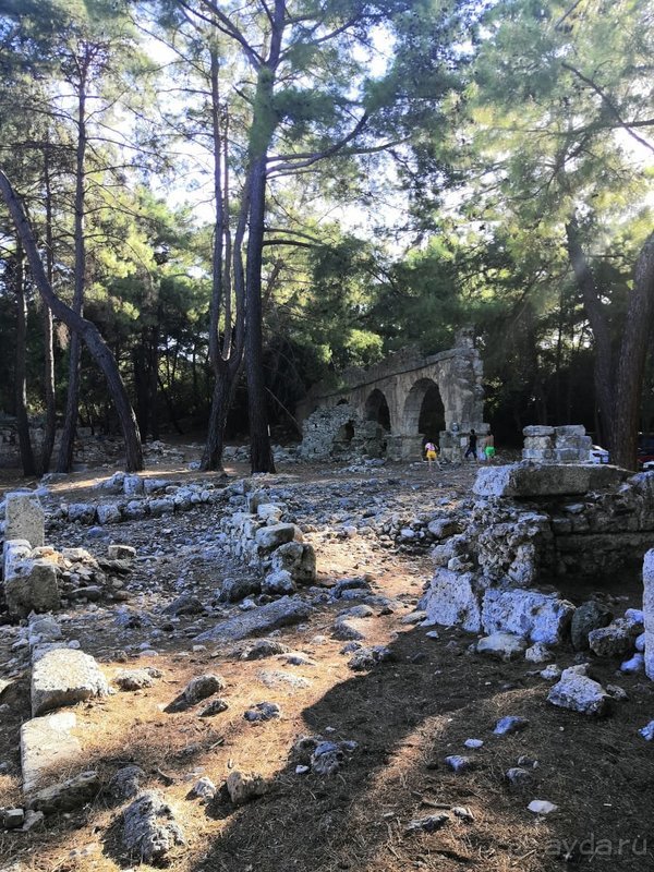 город Фазелис