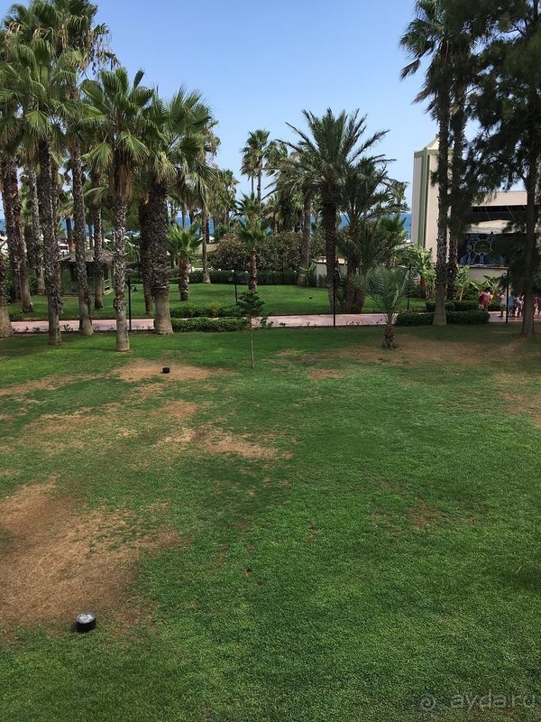 Отель хороший, если у вас не завышенные требования.