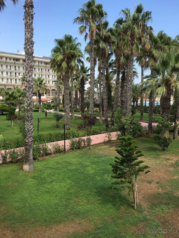 Отель хороший, если у вас не завышенные требования.