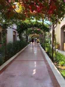 В Turan Prince обязательно еще вернемся!