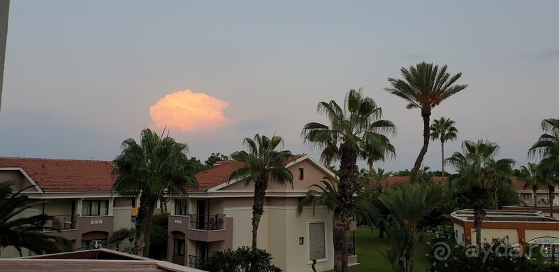 В Turan Prince обязательно еще вернемся!