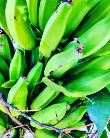 фото M.C Arancia Resort