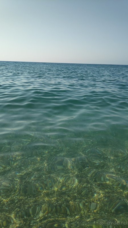 фото M.C Arancia Resort