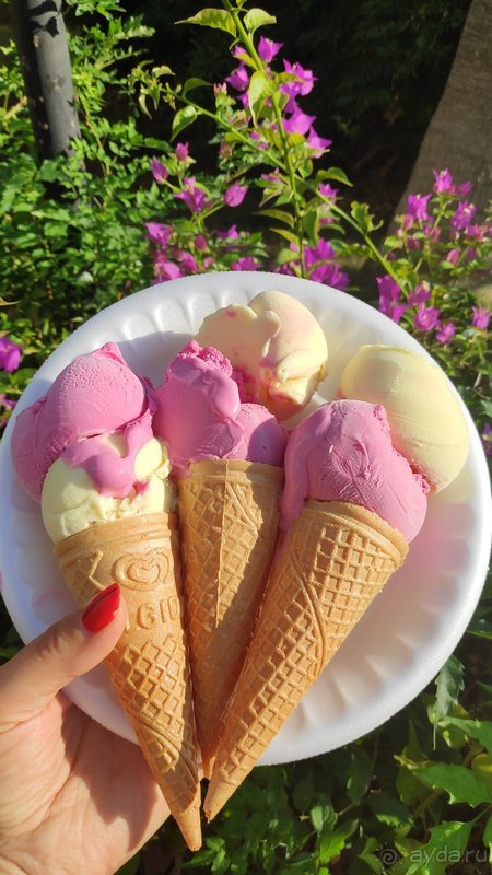 фото M.C Arancia Resort