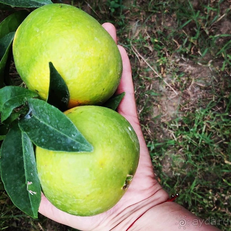 Для отдыха с детьми очень подходит