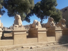 Путешествие в Древние Фивы.