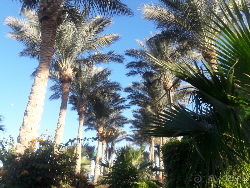 Hawaii Le Jardin Resort &Aqua Park Resort 5* Египет / Хургада