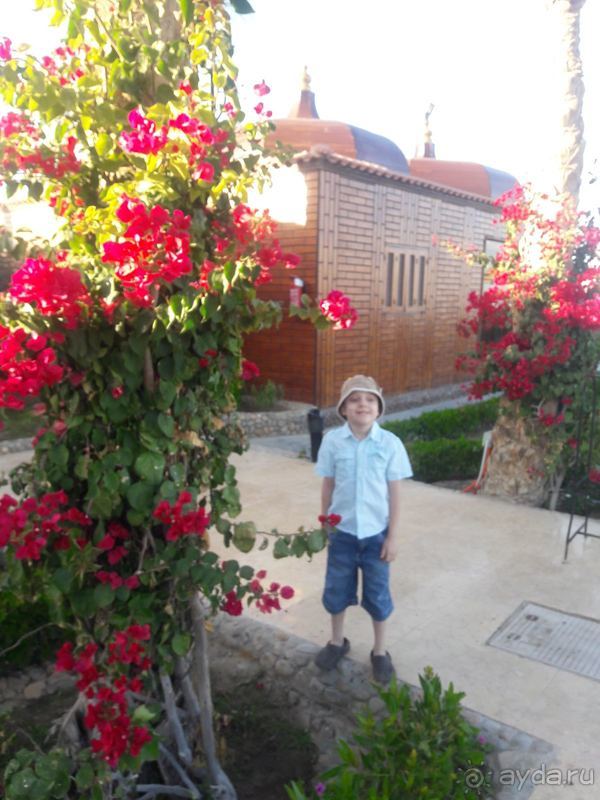 Hawaii Le Jardin Resort &Aqua Park Resort 5* Египет / Хургада