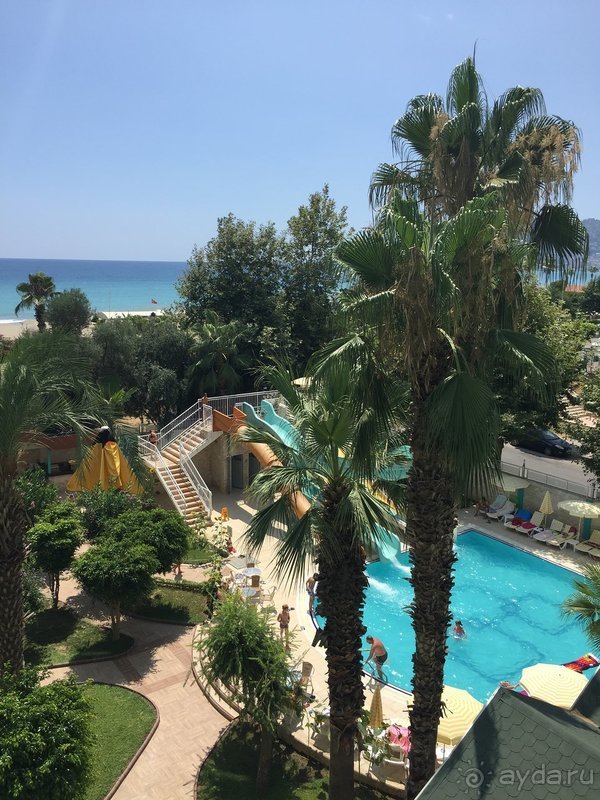 В целом, ожидания оправдались В целом, ожидания оправдались