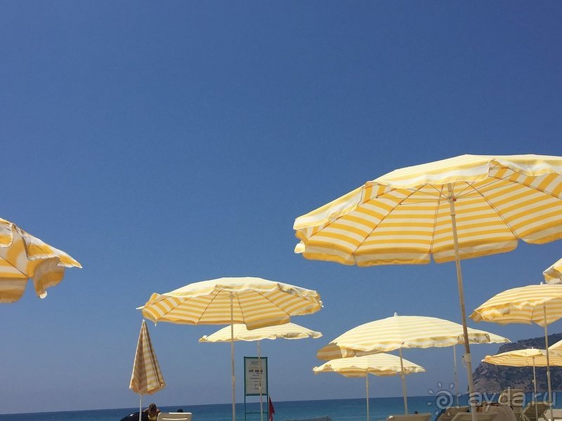 В целом, ожидания оправдались В целом, ожидания оправдались