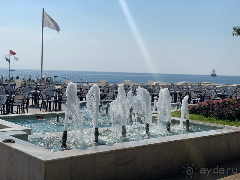 Разочарование(((