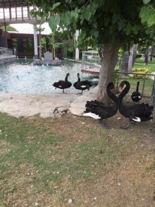 Отель прекрасен!