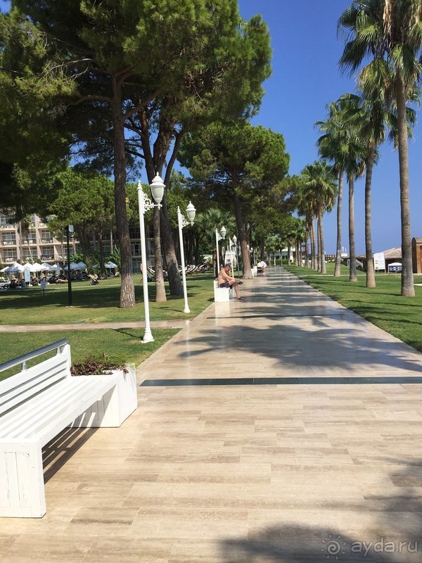 Отель прекрасен!