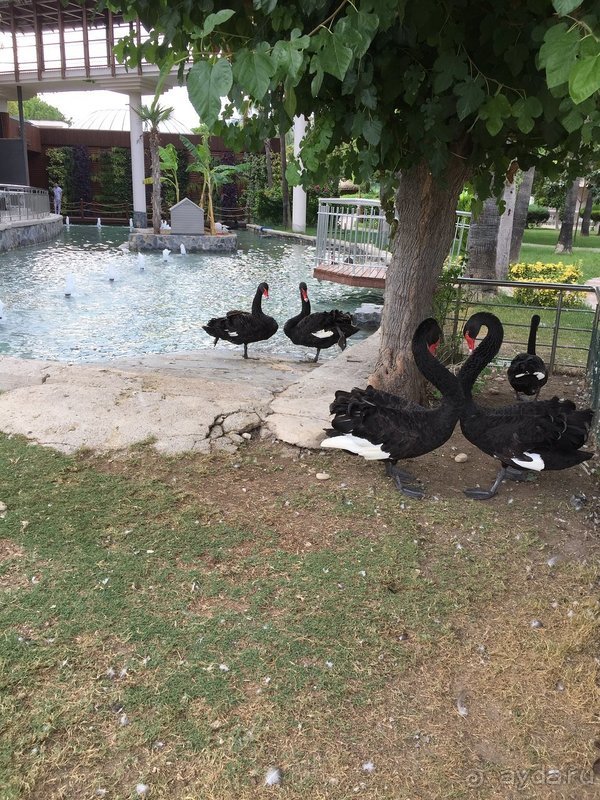 Отель прекрасен!