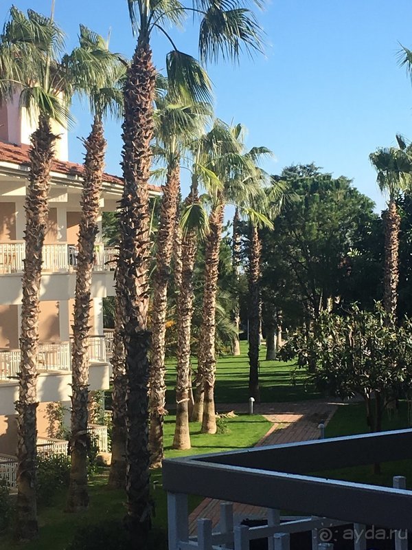 Akka Alinda - отличный семейный отель!