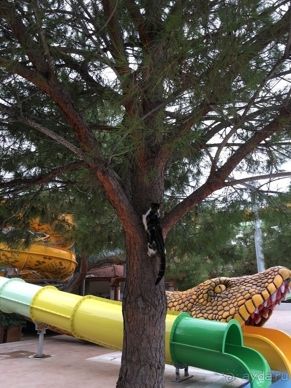 Akka Alinda - отличный семейный отель!