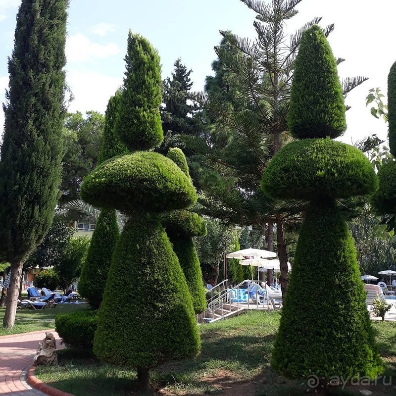 Впечатления смешанные.