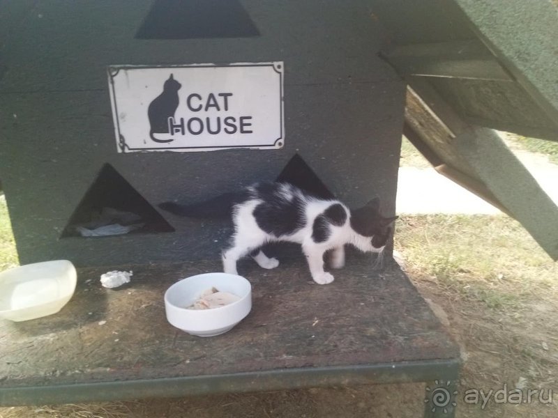 Отличный отель для семьи с детьми