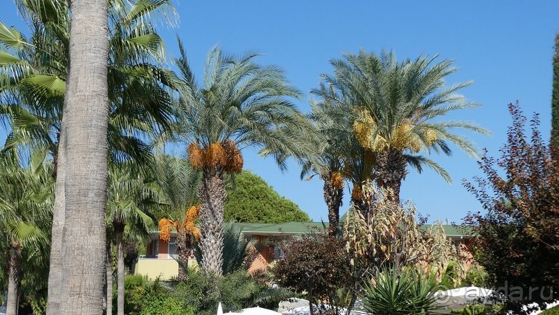 Отличный отель для семьи с детьми