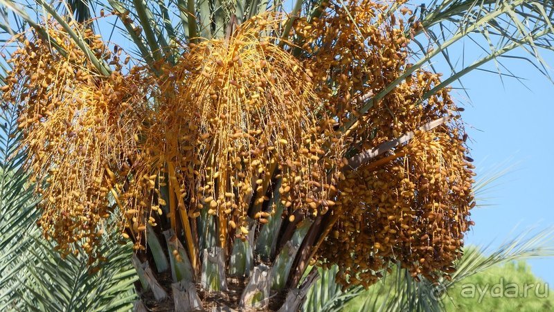 Отличный отель для семьи с детьми