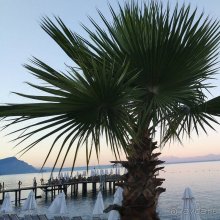 фото Crystal Flora Beach Resort