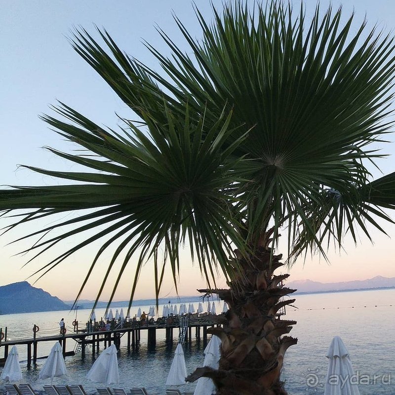 Crystal Flora - отель на один раз