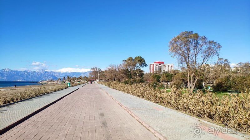 Для несезонников