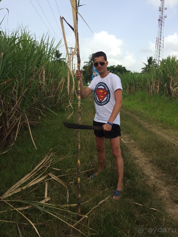 Саона - райский остров