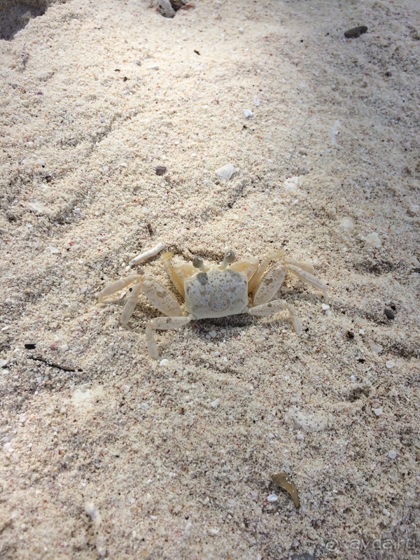 Саона - райский остров