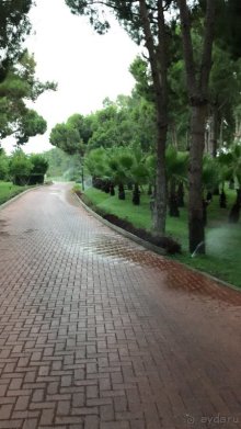 Минусы незначительные по сравнению со многочисленными плюсами