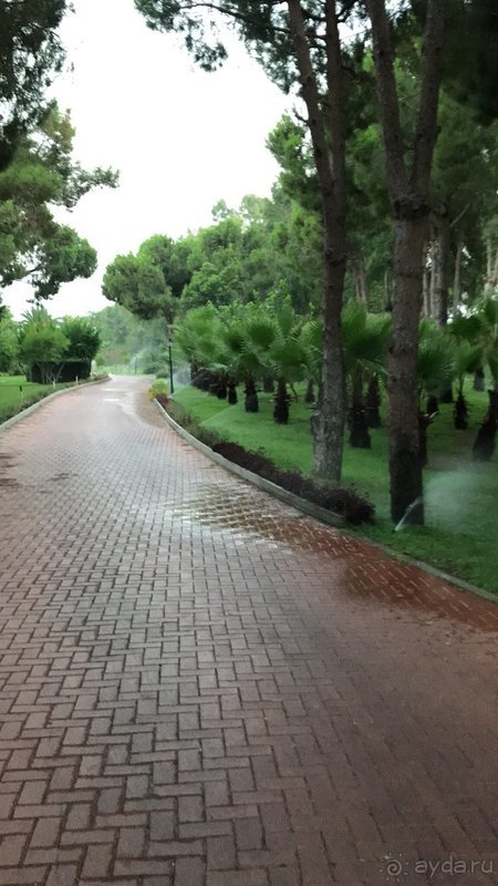 Минусы незначительные по сравнению со многочисленными плюсами