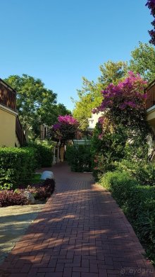 фото Club Asteria Belek