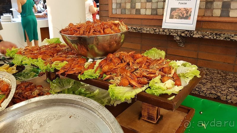 Отличный, активный отдых для семьи