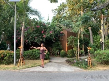 Прекрасная Паттайя