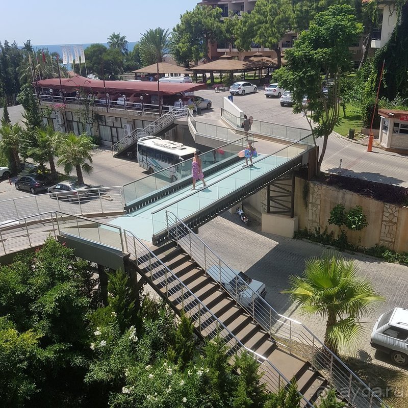 Разочарование