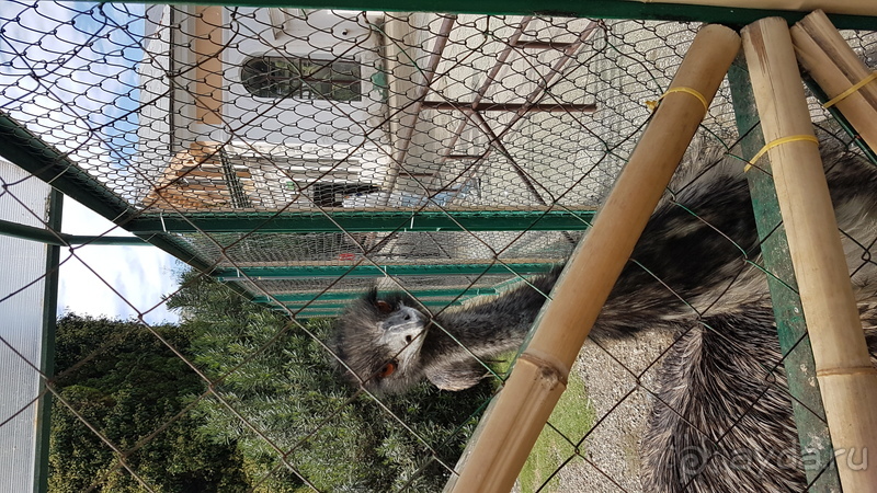 Настоящий город-курорт Сочи (курорт Красная Поляна)