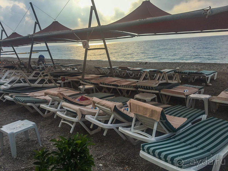 Сплошное разочарование!