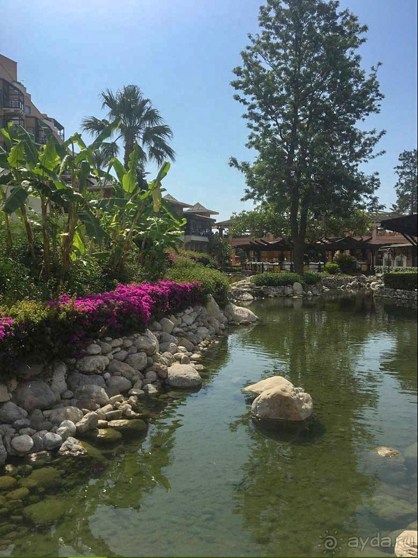 Сплошное разочарование!