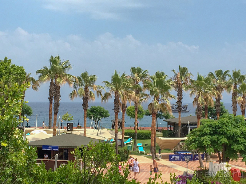 Сплошное разочарование!